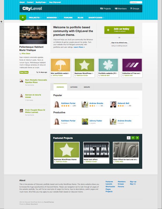 CityLevel WordPress Dribbble Theme