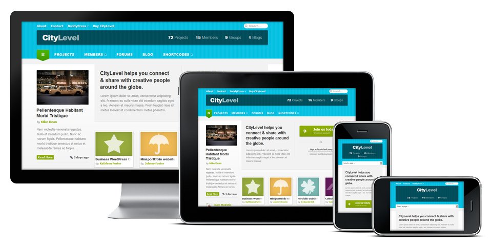 CityLevel WordPress Responsive BuddyPress Theme