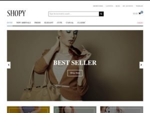 Shopy WordPress WooCommerce Theme