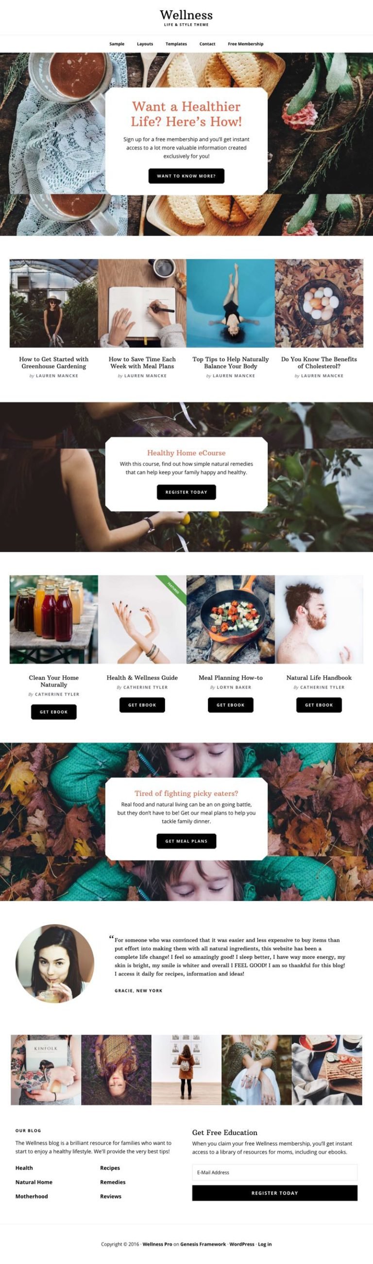 Wellness Pro WordPress Health & Life Style Theme