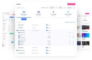 A Single Dashboard For Managing Updates, Themes, Plugins, & Clients 01