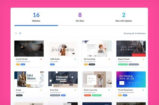 A Single Dashboard For Managing Updates, Themes, Plugins, & Clients 02
