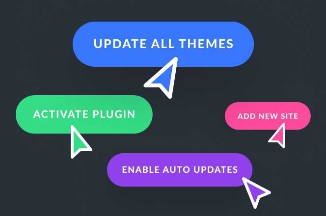 A Single Dashboard For Managing Updates, Themes, Plugins, & Clients 05