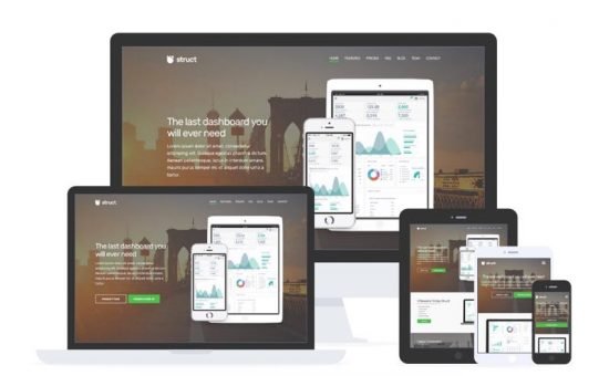 Struct WordPress Theme for SaaS, Mobile Apps & Software